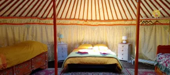 YOURTE intérieur jaune, dome transparent vue sur ciel